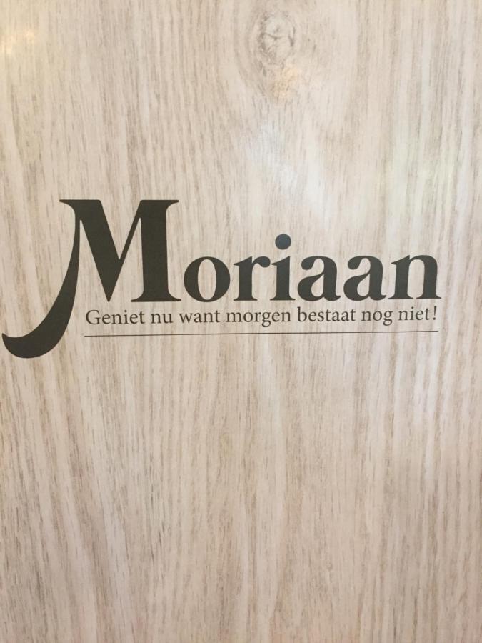 B&B Moriaan Brakel Zewnętrze zdjęcie